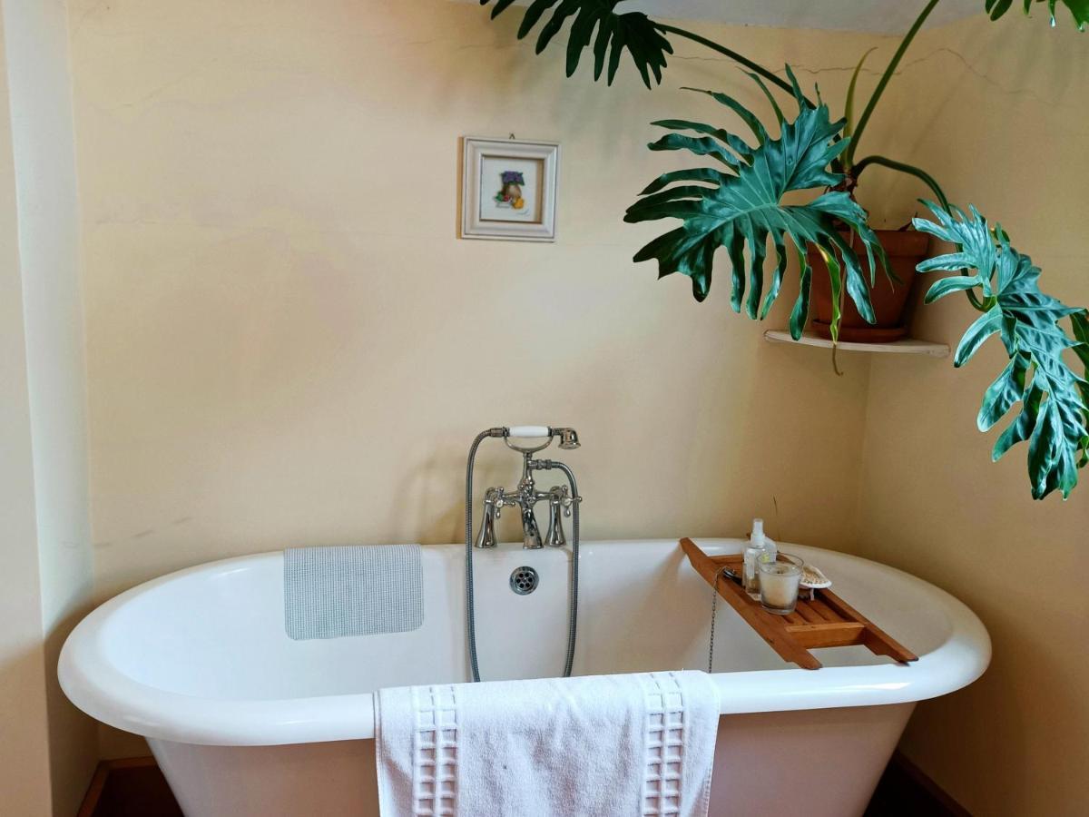 100 Year Old English Character House Hotel Timaru Bagian luar foto